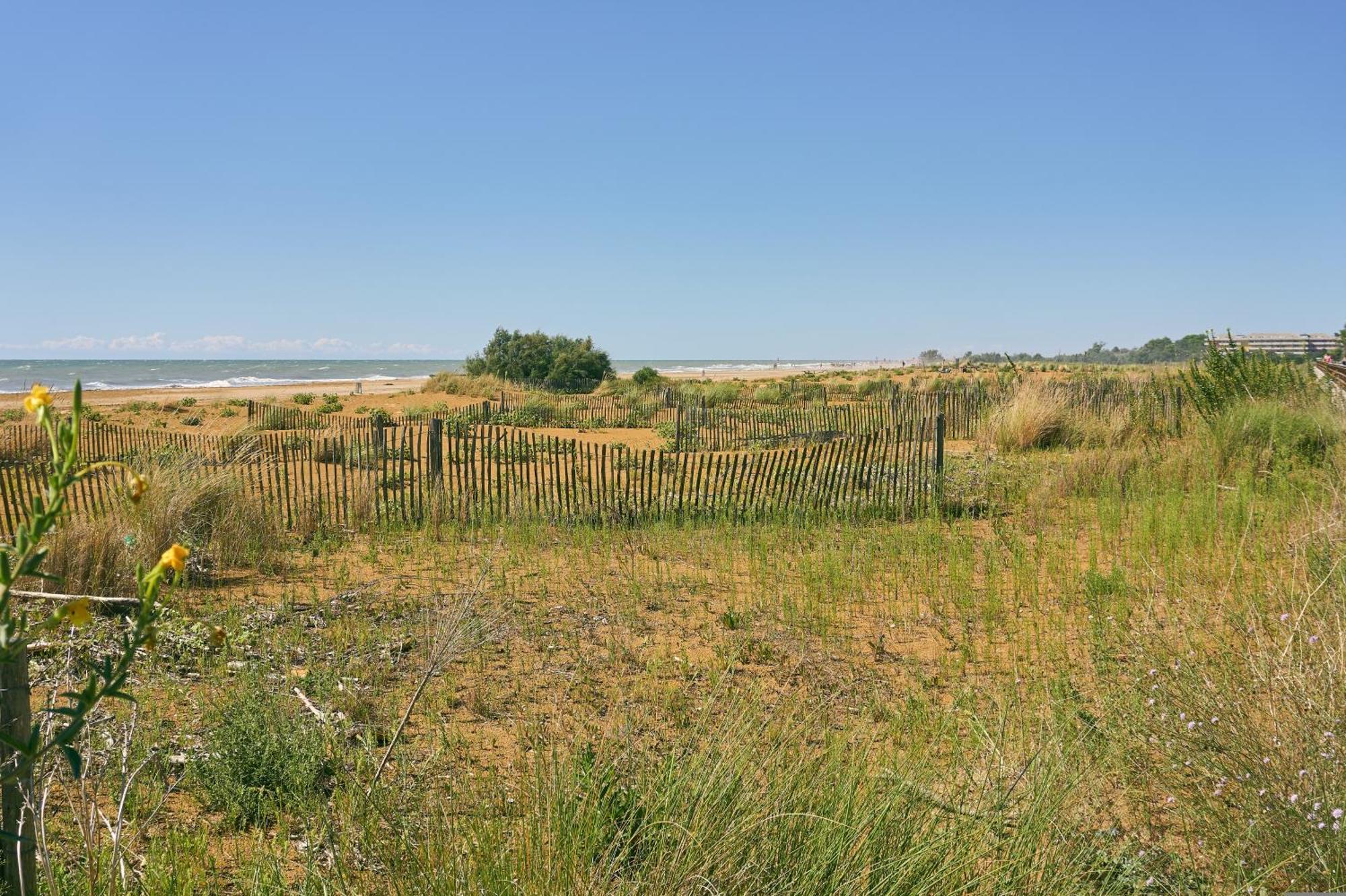 Spacious Near Pluto Lido Dei Pini Appartamento Bibione
